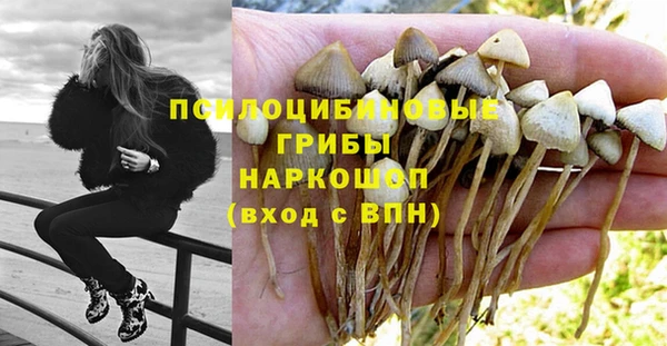 герыч Зерноград