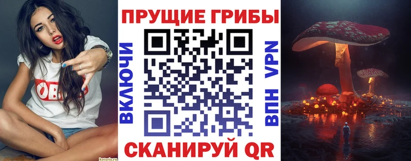 наркотики Саяногорск Галлюциногенные грибы прущие грибы