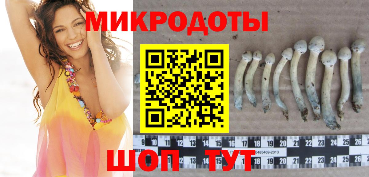 Саяногорск  Галлюциногенные грибы GOLDEN TEACHER  сколько стоит  Вход с VPN 